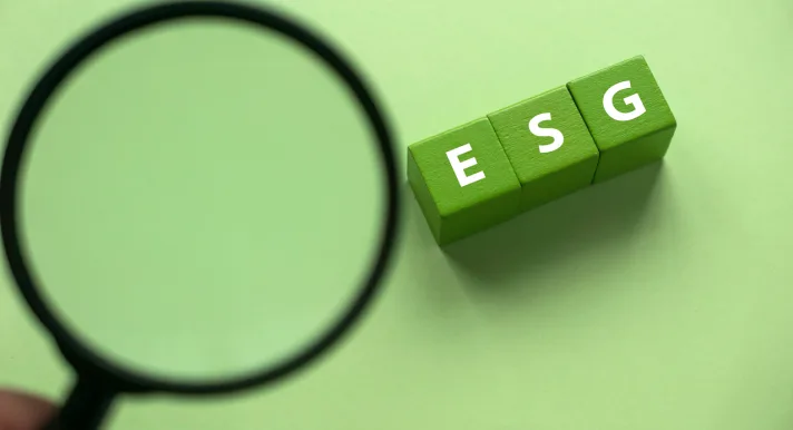 Governance is één van de 3 ESG-pijlers. Ieder orgaan binnen een onderneming heeft in dit kader een eigen rol met bijbehorende verantwoordelijkheden.