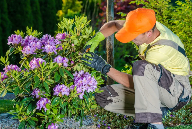 Onderneming actief in aanleg en ontwerp van tuinen en daarnaast ook verkoop spa-baden. Neem contact op via Brookz