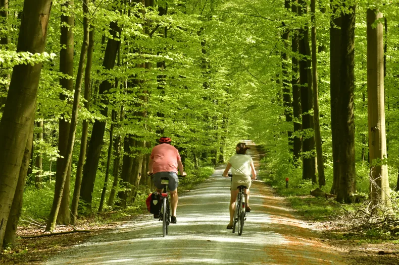 De onderneming is een veelzijdig vakantiecentrum die 35 jaar actief is in de regio, trouw klantenbestand. Neem contact op via Brookz