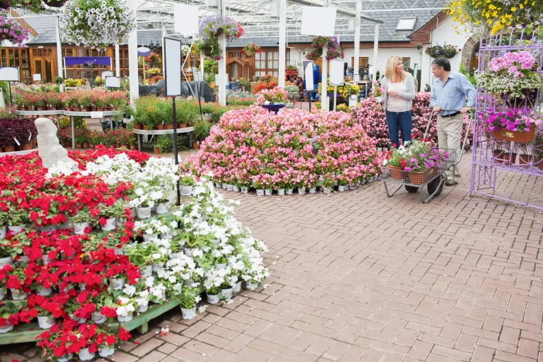 Ter overname aangeboden een kleinschalig, maar goed renderend tuincentrum in het noorden van het land.