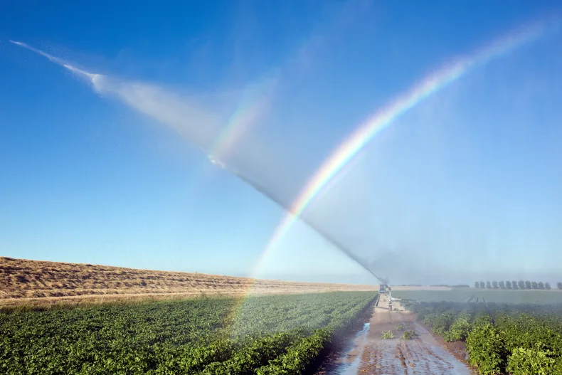 Onderneming in beregeningsinstallaties, met hoge klanttevredenheid. Neem contact op via Brookz.