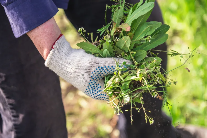 Handelsonderneming voor tuin- en straatonderhoud met gepatenteerd product. Neem contact op via Brookz.