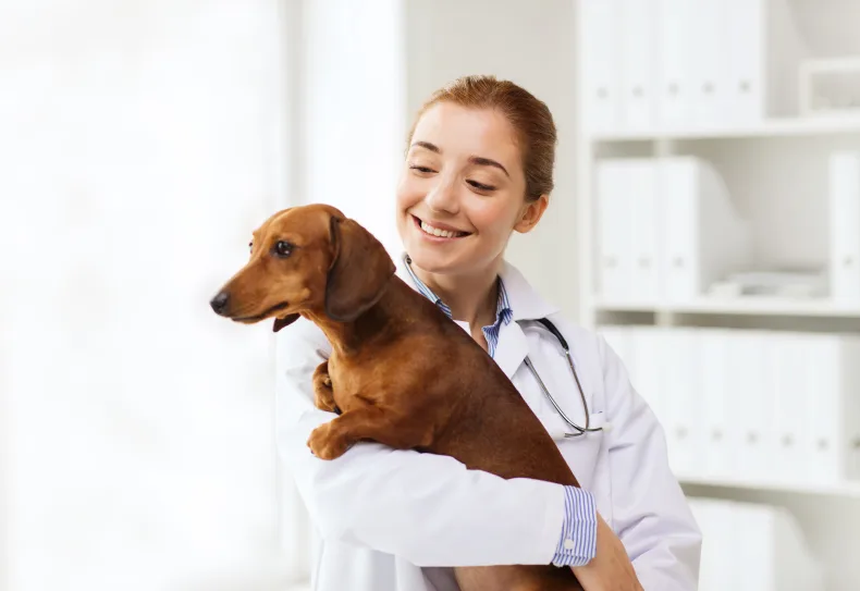Instapklare dierenartsenpraktijk in Noord-Holland, gevestigde praktijk voor gezelschapsdieren op uitstekend bereikbare winkelcentrum locatie. Neem contact op via Brookz.