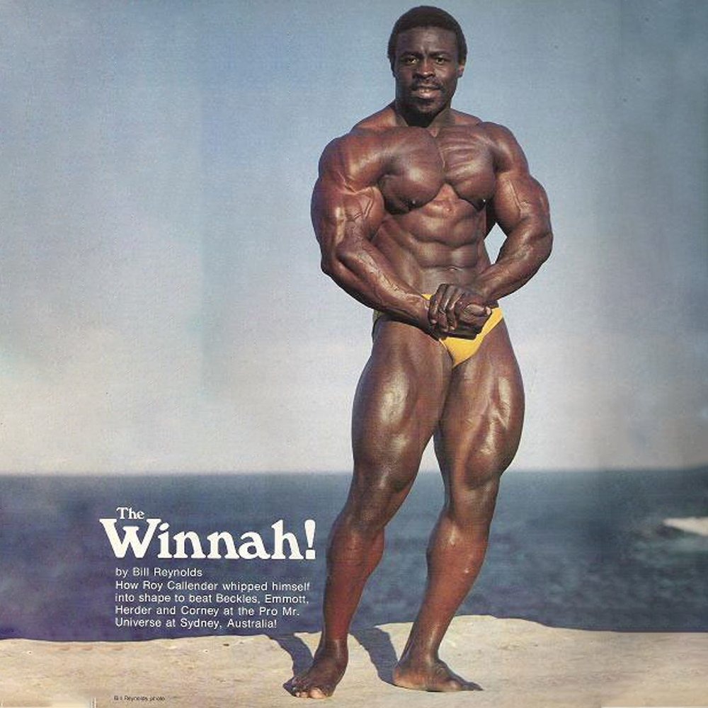 Roy Callender - صورة 6