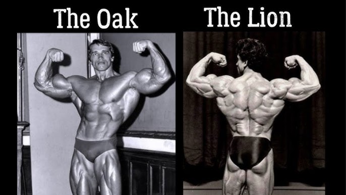 Samir Bannout - صورة 7