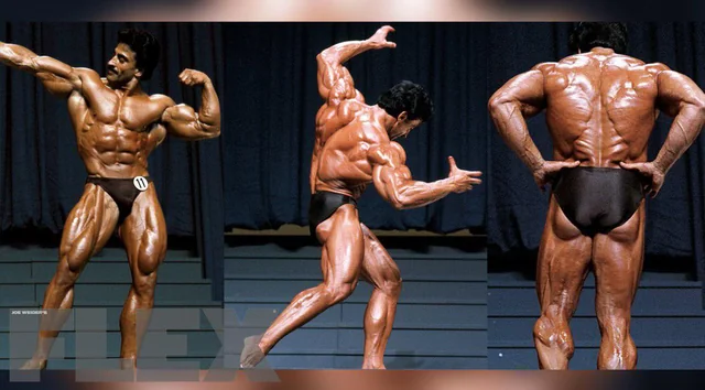 Samir Bannout - صورة 3