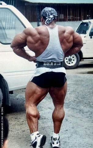 Dennis James - صورة 10