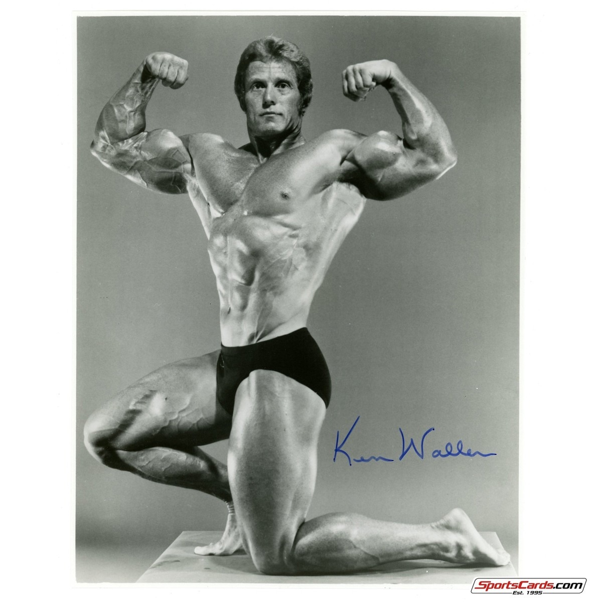 ken waller - صورة 4