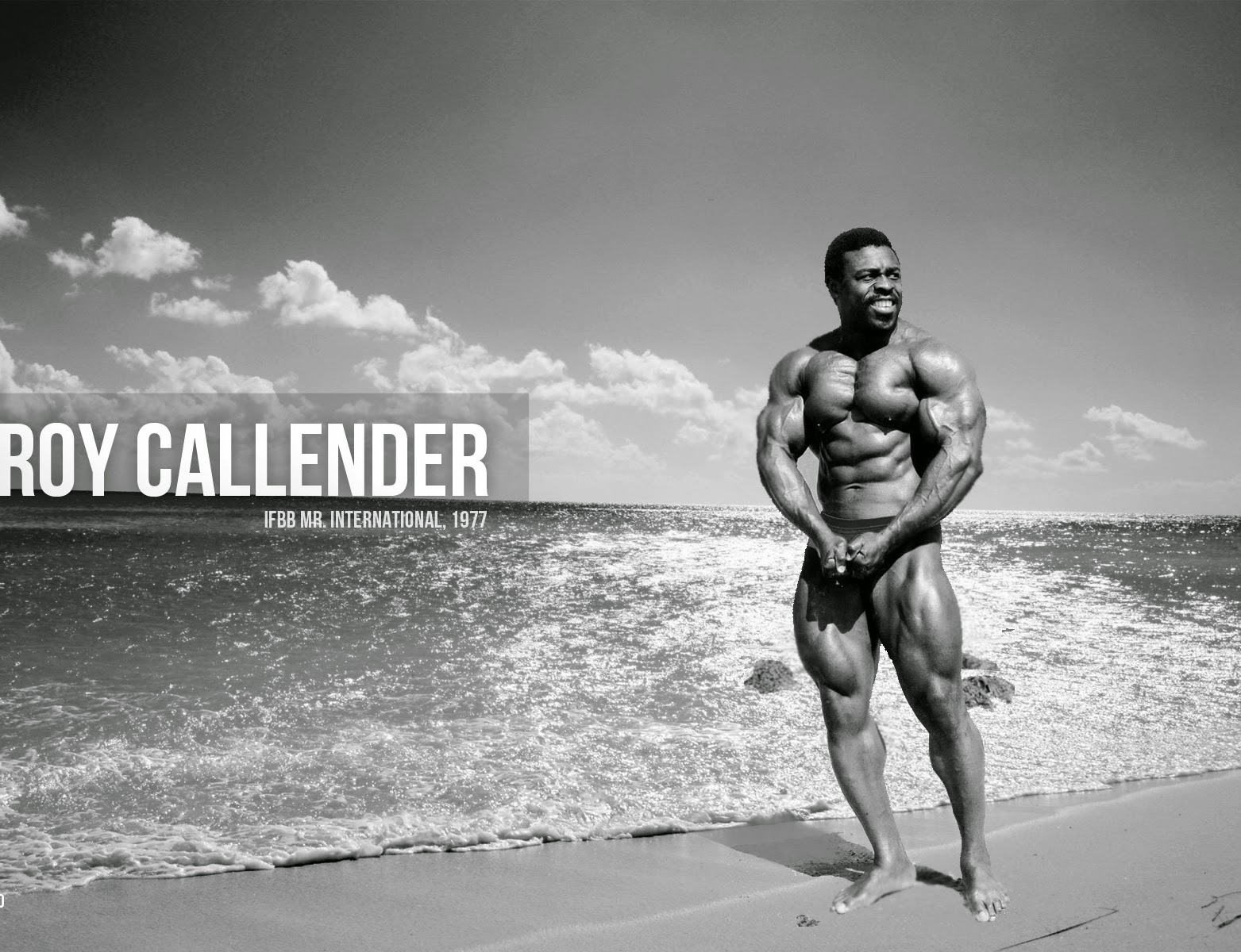 Roy Callender - صورة 1