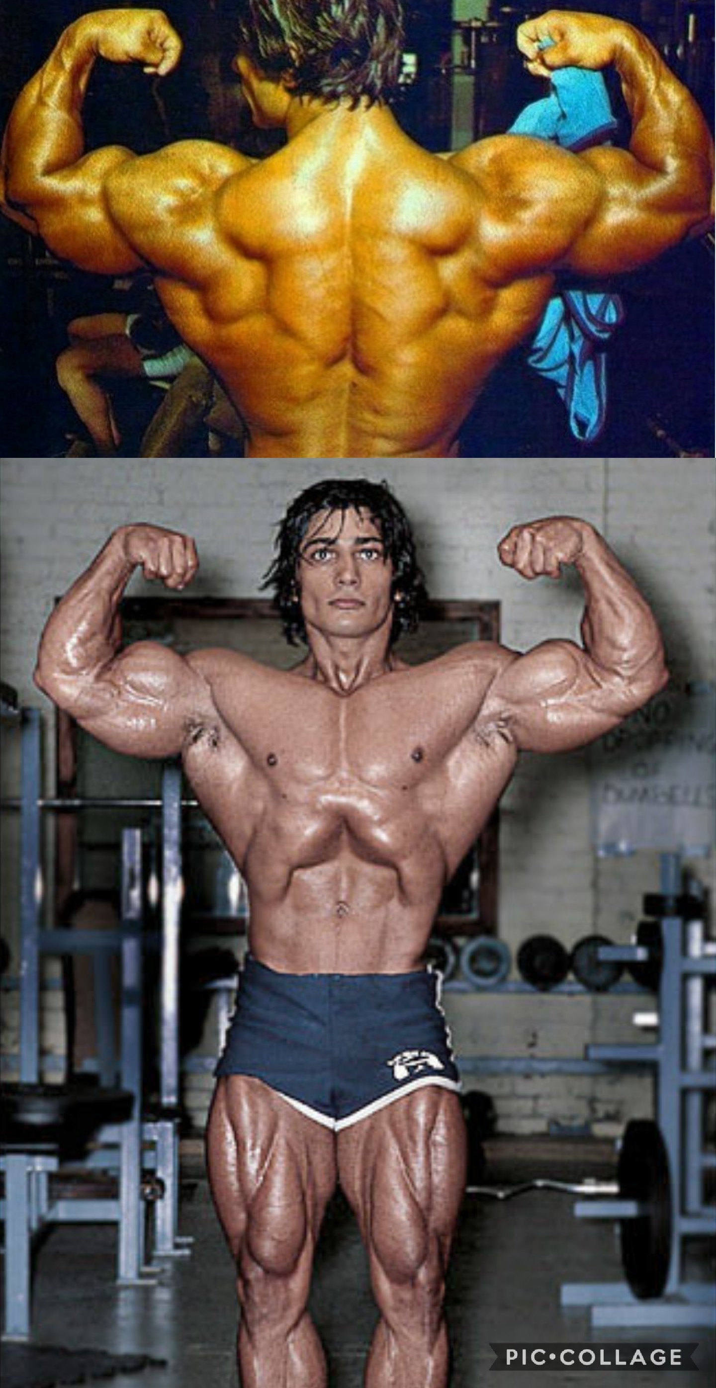 Danny Padilla - صورة 2