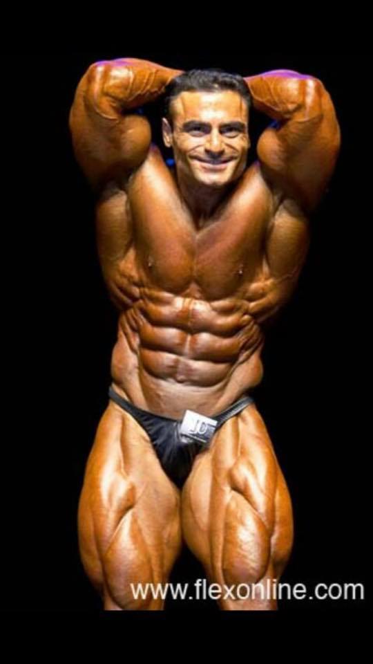 Ahmad Haidar - صورة 10