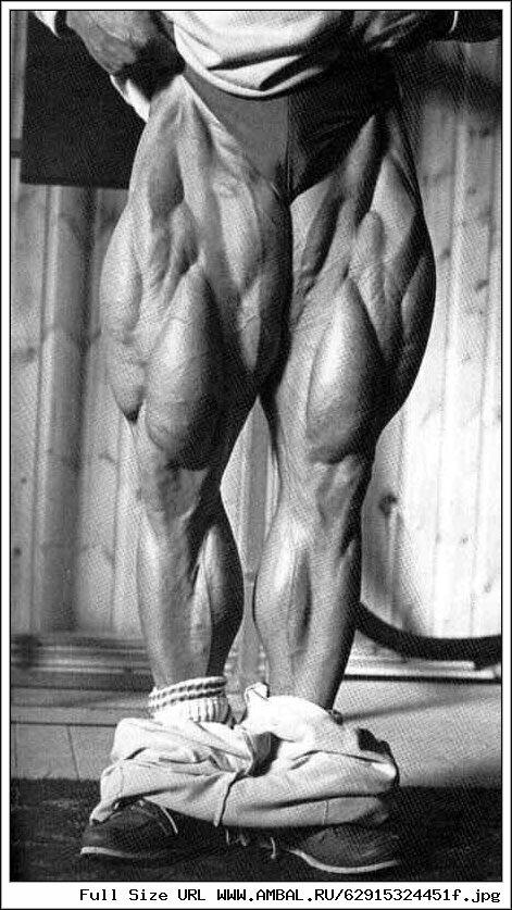Tom Platz - صورة 10
