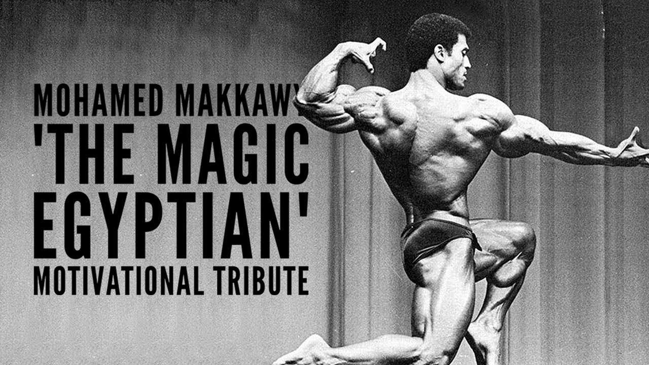 Mohamed Makkawy - صورة 4