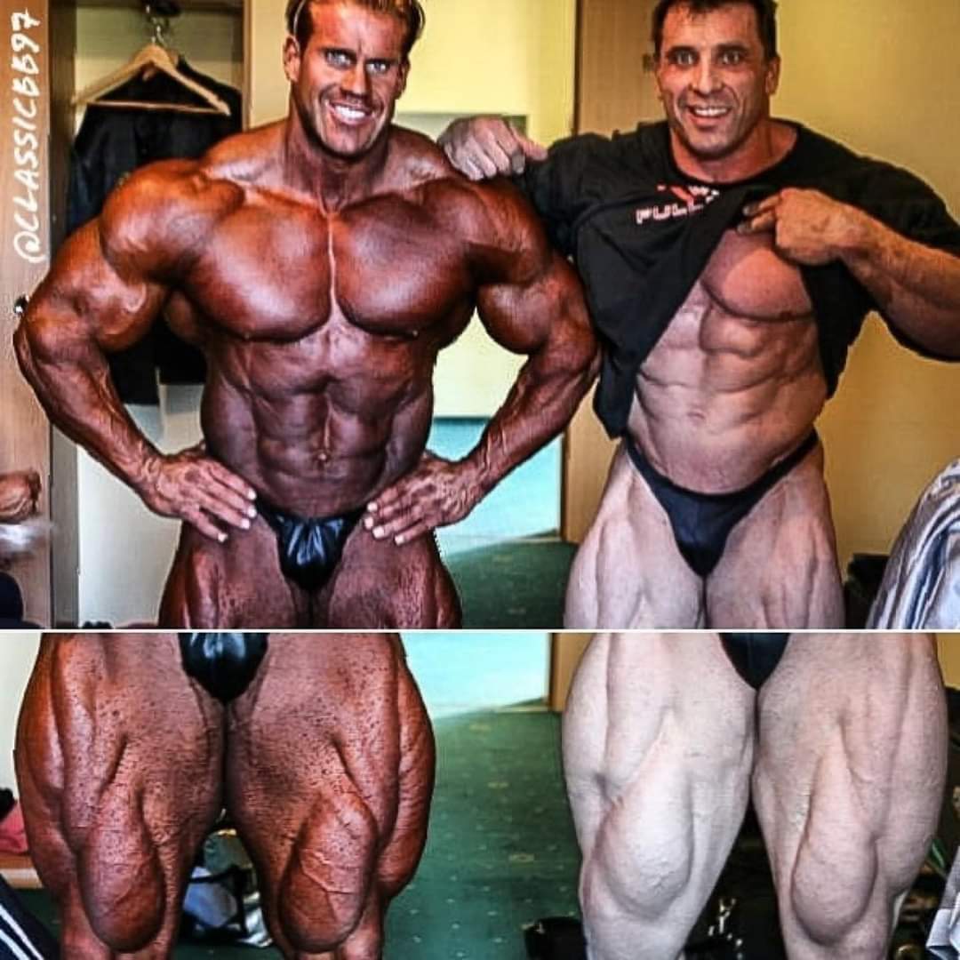 ميلوس سارسيف - صورة 7