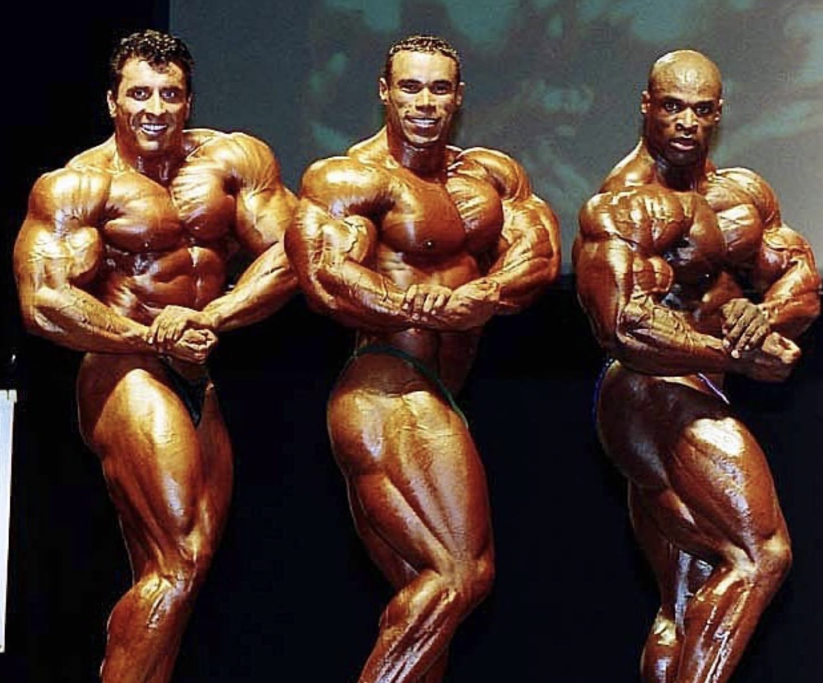 ميلوس سارسيف - صورة 3