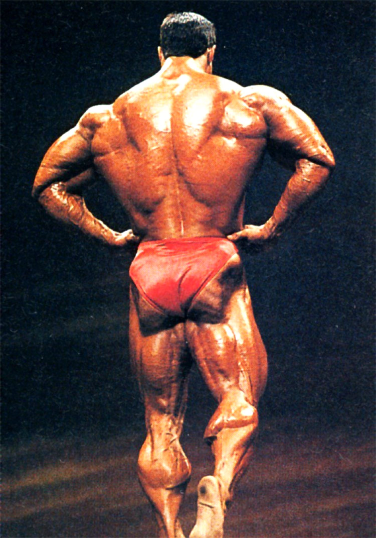 Mike Matarazzo - صورة 6