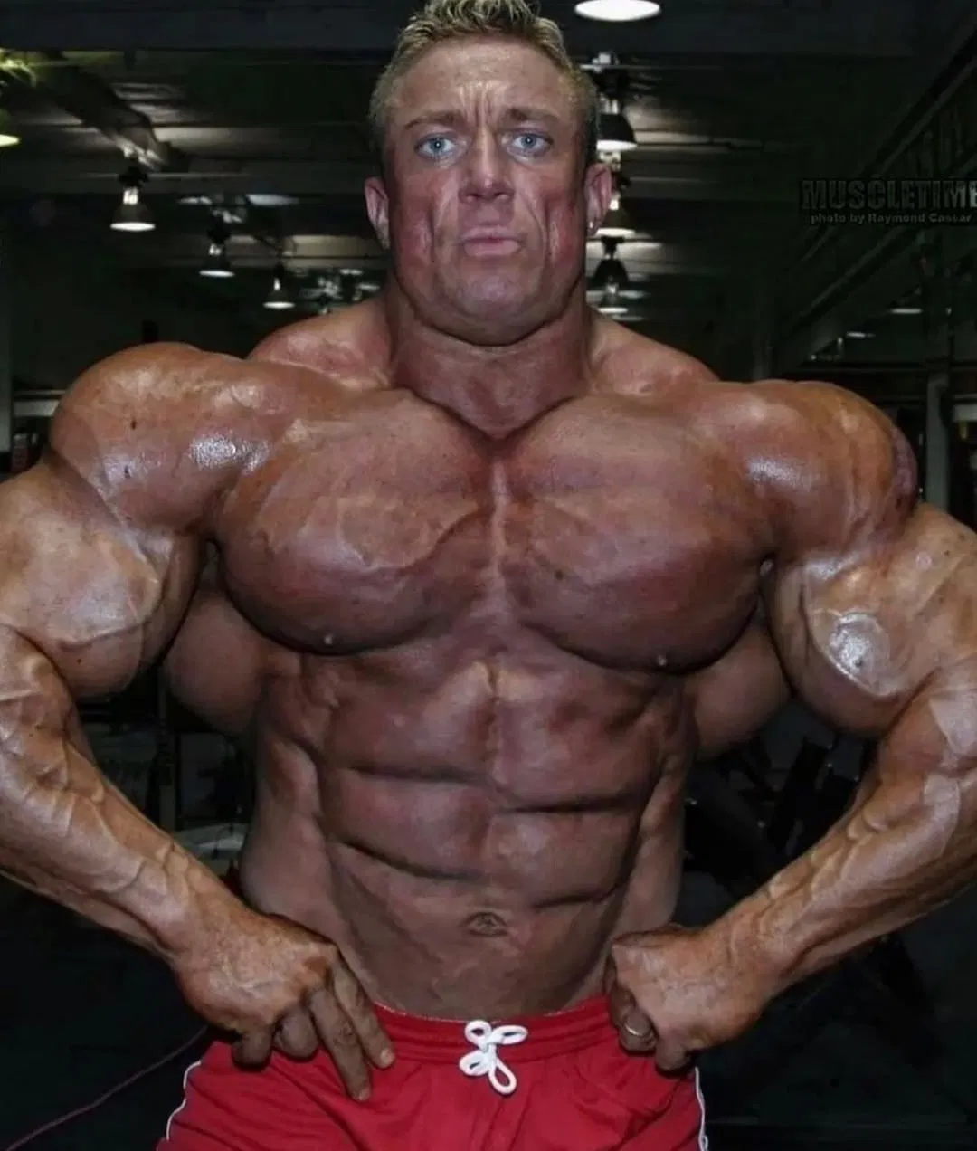 ماركوس رول - صورة 2