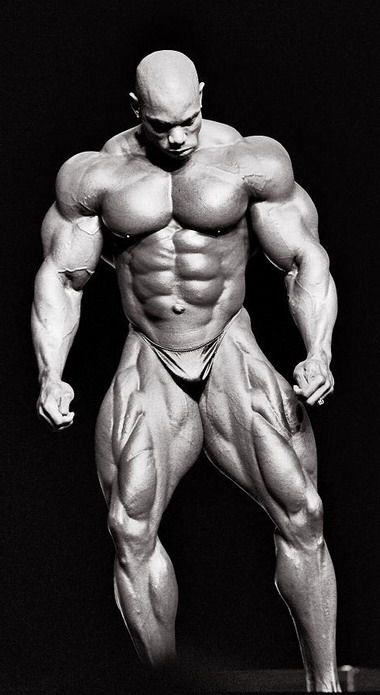 Flex Wheeler - صورة 7