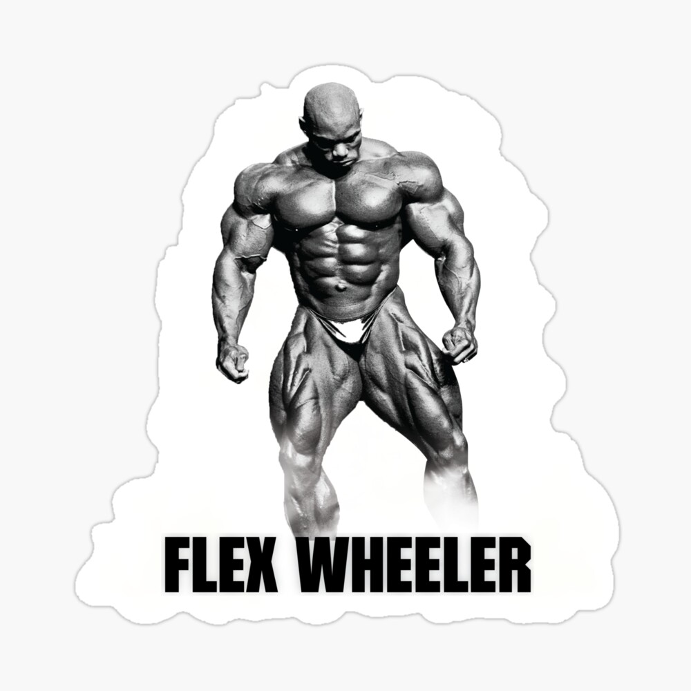 Flex Wheeler - صورة 1