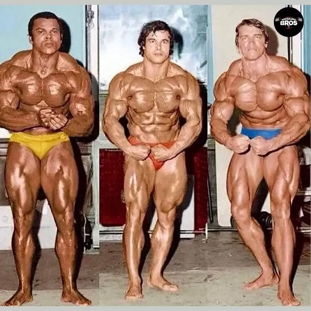 Serge Nubret - صورة 10