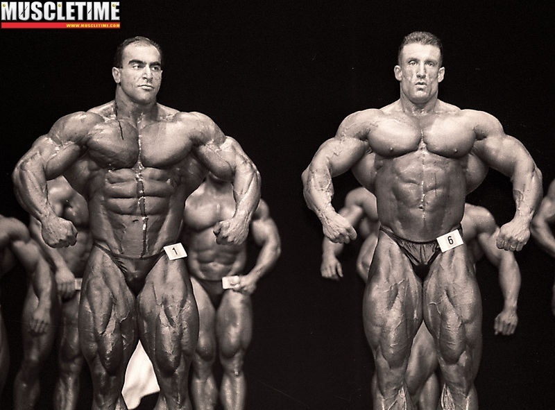 nasse elsonbaty - صورة 10