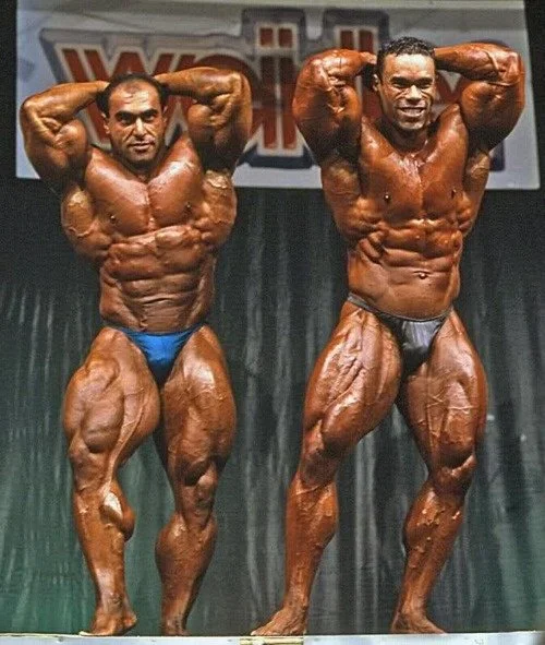 nasse elsonbaty - صورة 8