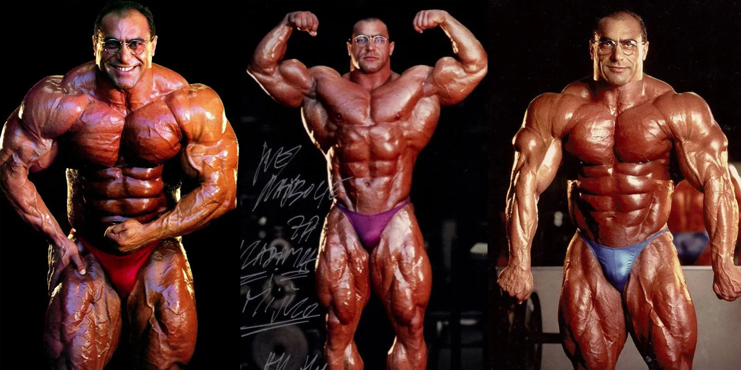 nasse elsonbaty - صورة 4