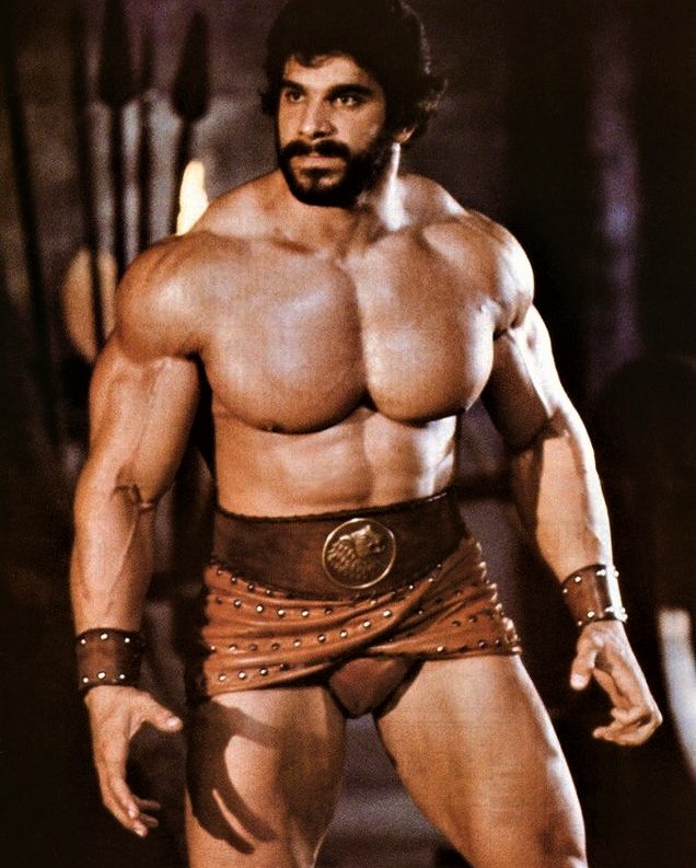 Lou Ferrigno - صورة 7