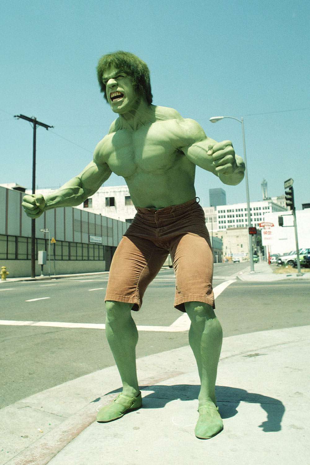 Lou Ferrigno - صورة 5