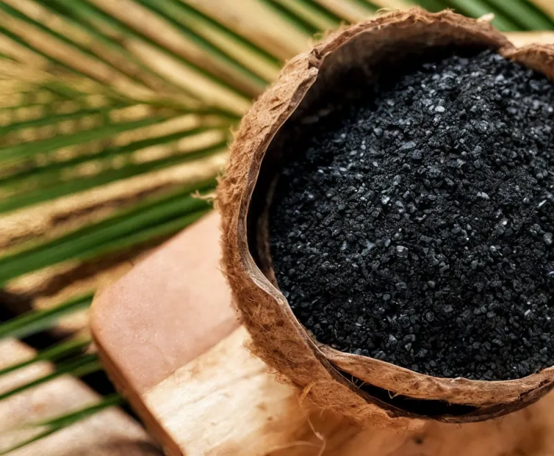 Coconut Shell Carbon