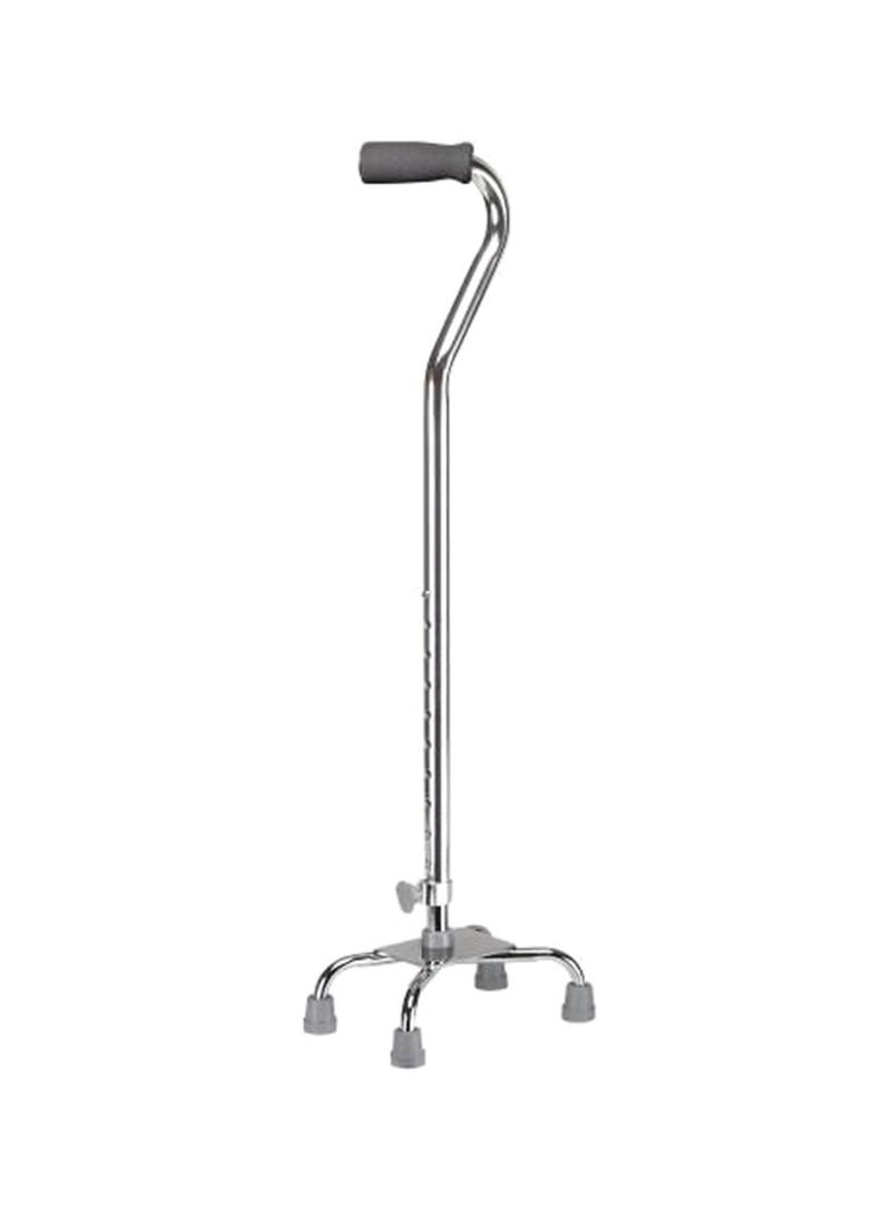 Quad Cane - Gallery Image 1