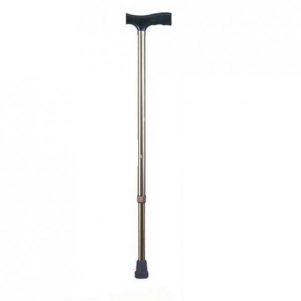 Walking Stick - Gallery Image 1