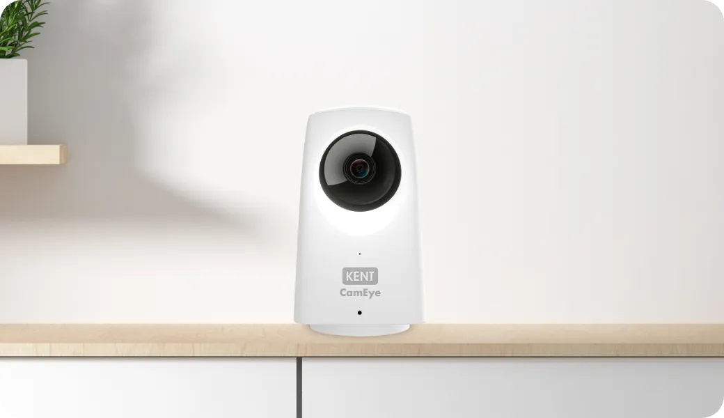 HomeCam Product Image