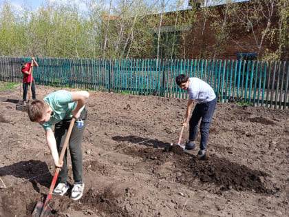 В России стартовала пятая ежегодная эколого-патриотическая акция «Сад памяти».