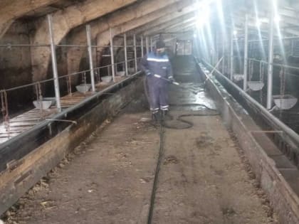 Дезинфекция животноводческих корпусов в Мухаметово