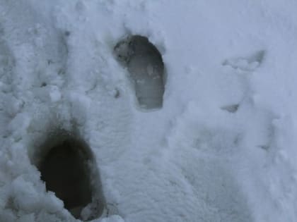 На Крещение в Лаишевском районе будет оттепель