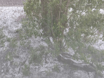 В Татарстане потеплеет до +10, но вновь ожидаются дождь и мокрый снег