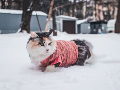 Новые достижения в области науки и образования