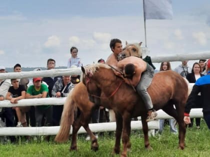 В Лениногорске на Сабантуе в соревнованиях по борьбе на лошадях -  Аударыш - определились победители