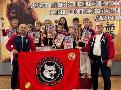 Спортивные достижения команды Ревиных