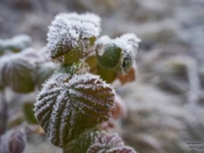 В Татарстан в ближайшие дни вернутся снегопады и заморозки