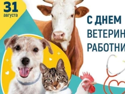 Новые инициативы в области здравоохранения