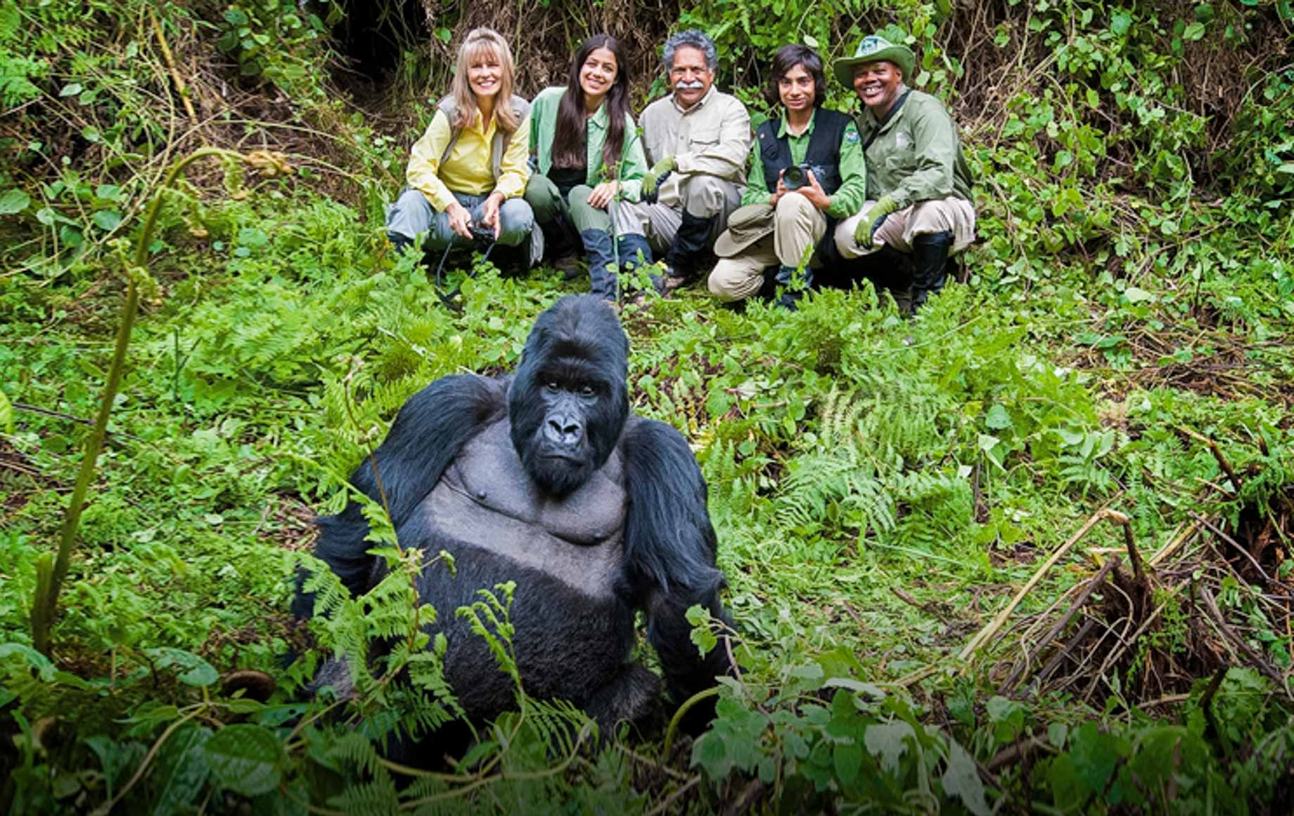 Volcanoes National Park Rwanda