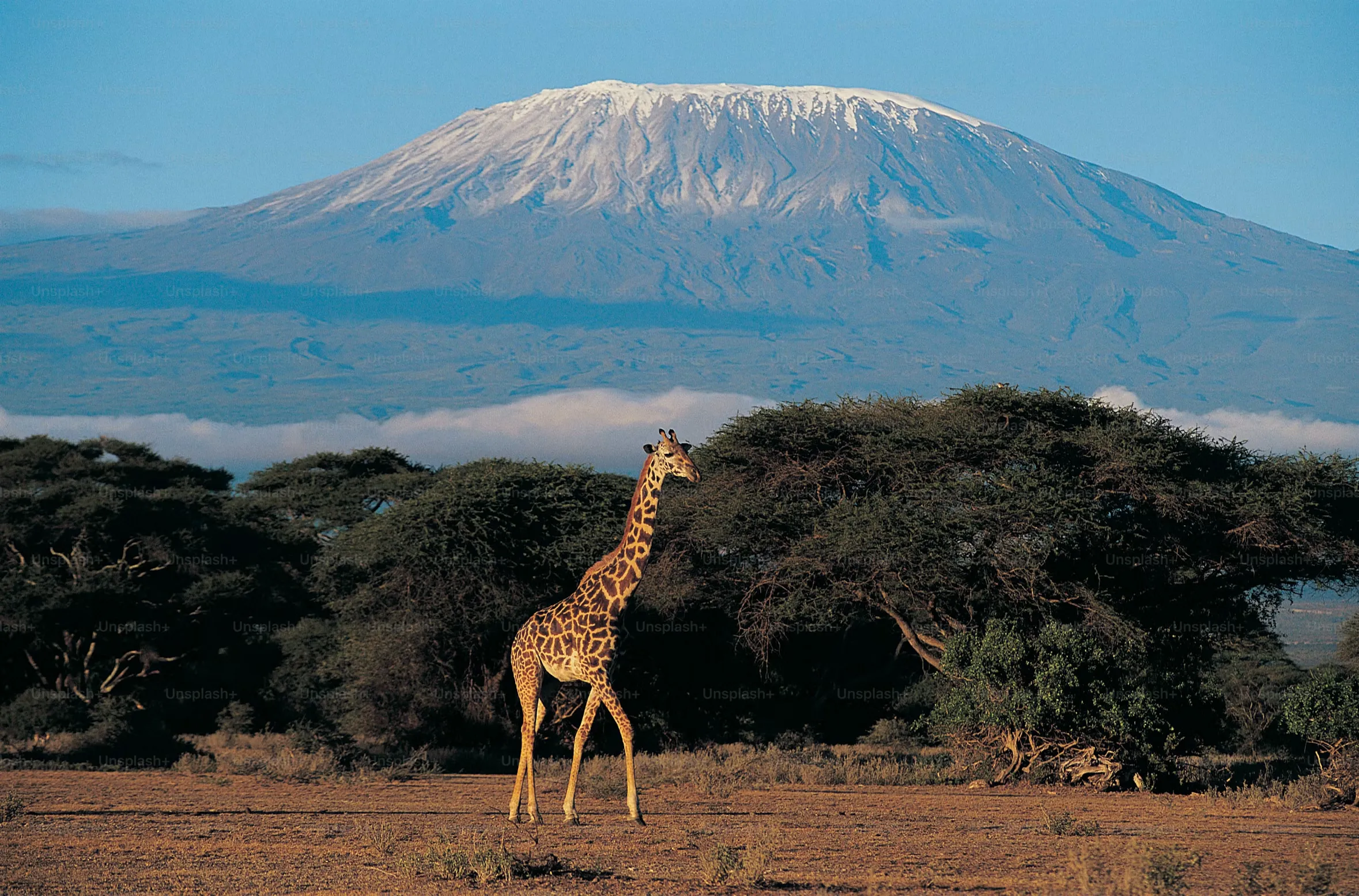 Serengeti National Park