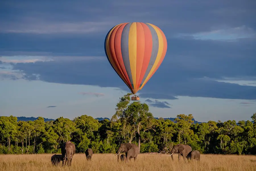 8-Day Kenya and Tanzania Classic Safari