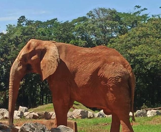 Jardim Zoológico de Belo Horizonte