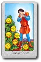 Seven of Pentacles minor arcana tarot