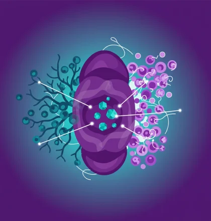 MLVs: Dual Role in Brain Metastases Offers Therapeutic Targets