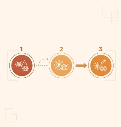 Sjögren’s Disease: Targeting Underlying Activity Beyond Symptoms