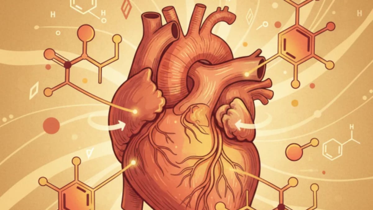Diabetes Drugs For Stiff Heart Failure